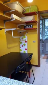 54 Cat - Image 3
