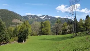Kloiberhof - Image 4
