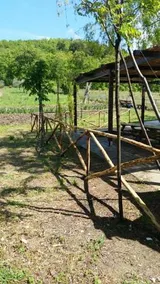 Dal Biondo - Image 5
