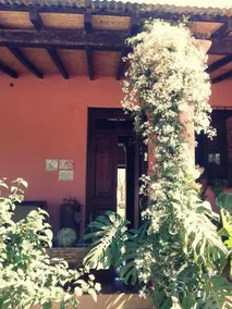 Finca Santa Anita - Image 3