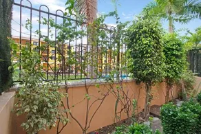 El Mocan Palm Mar - Image 2