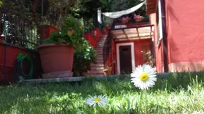 B&B Il Giardino delle Camelie - Image 3
