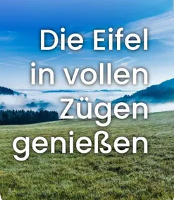 Ferienwohnung Miesseler - Image 4