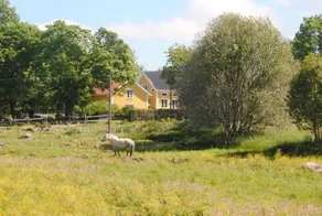 Hällstad Kronogård - Image 5
