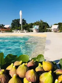 Masseria Scinarello - Image 2