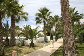 Dar Jerba - Image 4