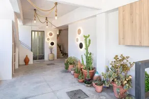 Cactopia Apartments- Hoya-Aeonium - Image 2