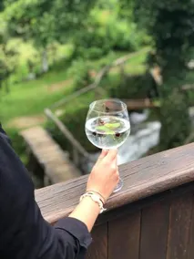 Slovin Unique - Rastoke - Image 2