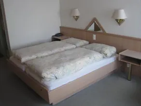 Hotel des Alpes - Image 3