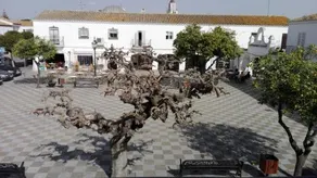 Plaza Artesania - Image 2