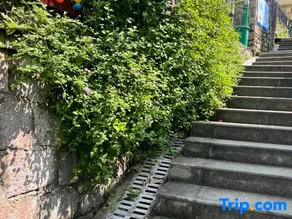 Wenzhou Huayuhai Homestay - Image 5