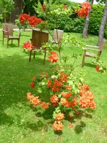 Iwood B&B - Image 4