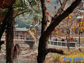 Tanchao Homestay (Longtan Ancient Town Store - Image 5