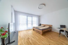 Apartment Michelská - Image 5