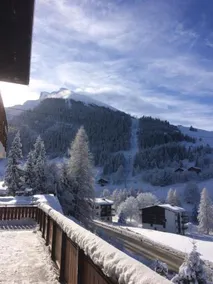 Chalet-Hôtel du Borderan - Image 3