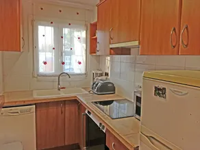Mimosa - Image 3