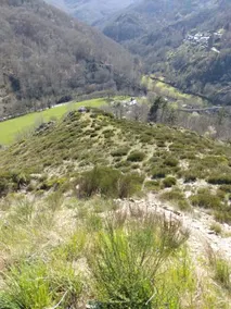 Les Ruches Cevenoles - Image 2