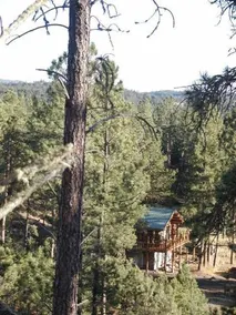 Pancho's Hideout - Image 5