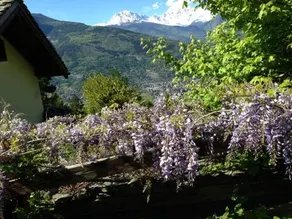Il Giardino Dell'Artemisia - Image 3