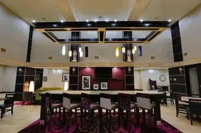 Hampton Inn & Suites Missouri City TX - Image 3