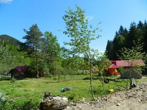 Yesilyayla Eko Turizm Konaklama - Image 5