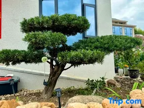 Good Xi Homestay - Image 3