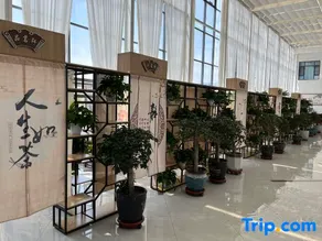 Guyuewu Township Hotel - Image 3