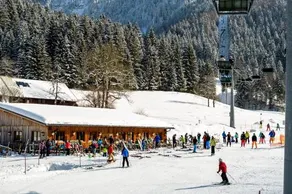 BS-Ötscher - Image 3