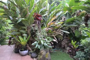 Lilikoi Inn - Image 3