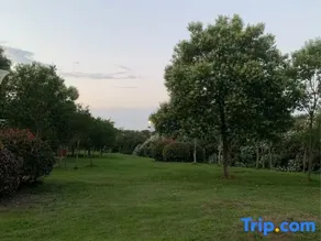 Xinyu College Campus Hotel - Image 4