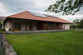 La Saliste - Image 2