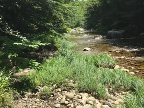 Tentrr Signature Site - Whispering Pines At The River - Image 2