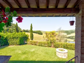 La Verbena - Image 4