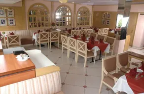 Hotel Hawa Mahal - Image 3