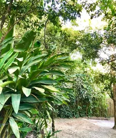 Casa Eliza - Image 3