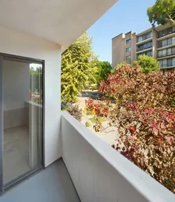 Bel Air Luxury Condos - Image 5