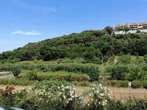 Zio Tonino B&B - Image 2