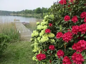 Apartment Am See - Image 2