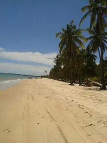 Jardim Atlantico - Image 5