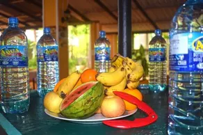 Palm Beach Resort - Image 3