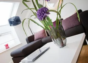 Regent House deluxe 1 bedroom apartment - Image 4