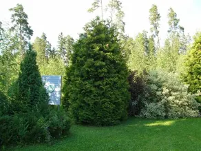 Hotelli Aliisa - Image 5