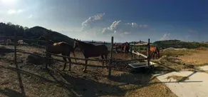 Maison des Roses - Family Farm - Image 2