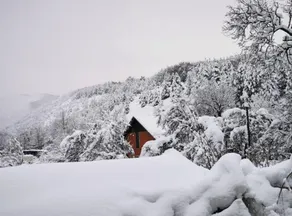 Holiday Home Tomislav - Image 4