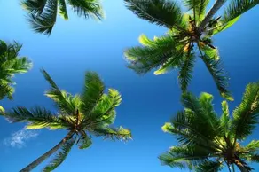 Bahia Surf Camp - Image 5