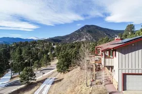 Fir View Evergreen - Image 3