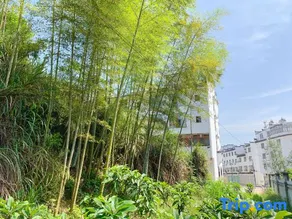 Hanlu Hostel - Image 4