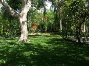 Quinta Pixoy - Image 5