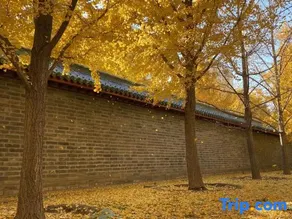 Only Love Select Hotel (Xianyang International Airport) - Image 5