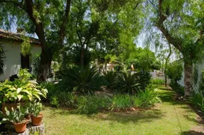 Villa Vacacional Los Naranjos - Image 4